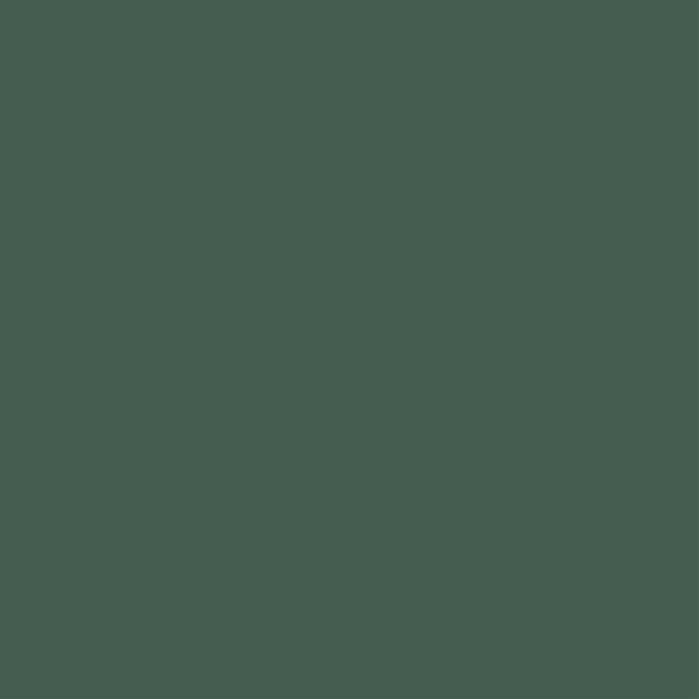 Jungle Green: A Deep Green Unicote steel swatch. HEX colour code: #485c4f