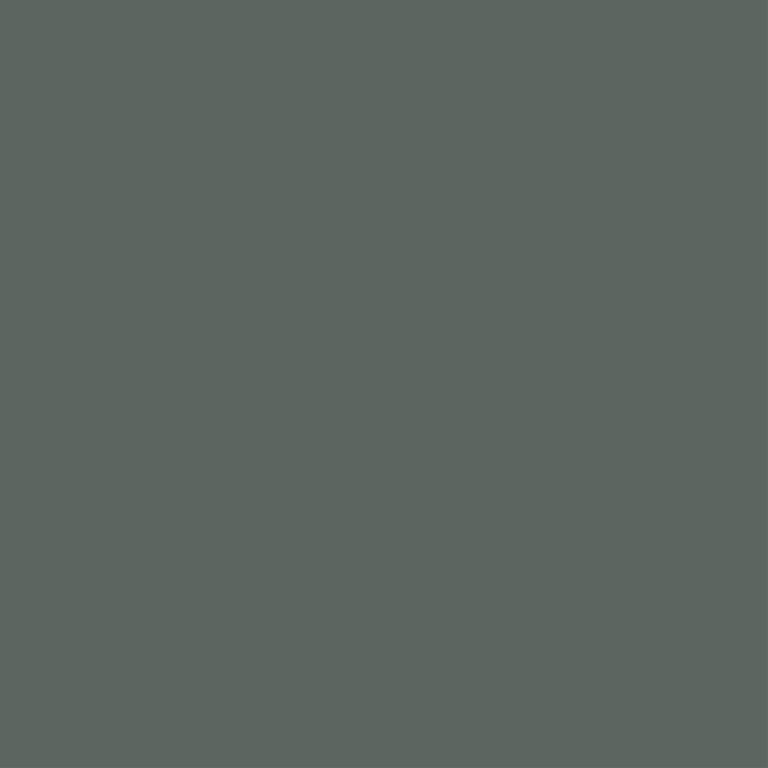 Royal Fern: A Dusty Green Unicote steel swatch. HEX colour code: #5c6660