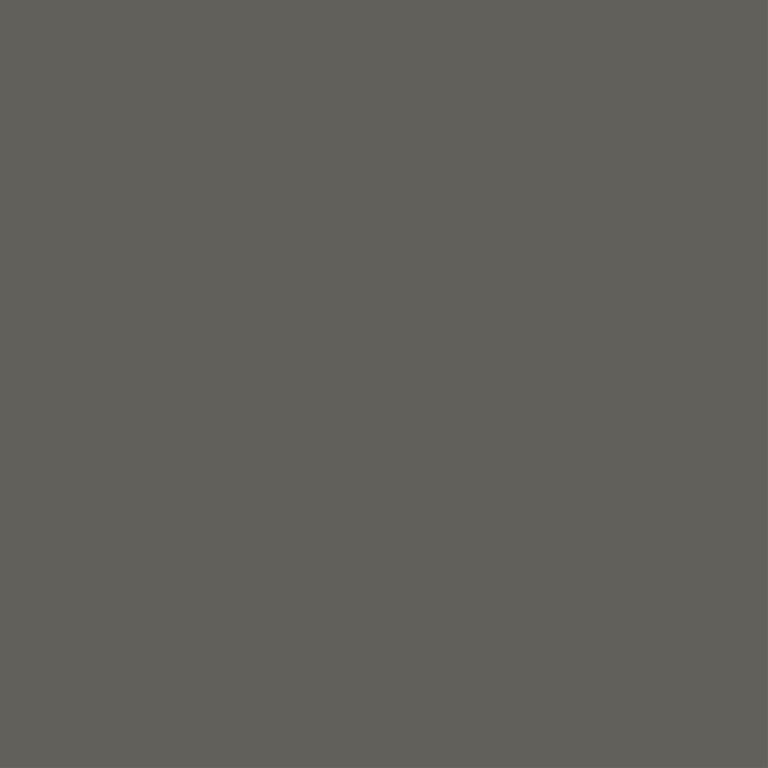 Stormy Grey: A Calm Grey Unicote steel swatch. HEX colour code: #61605b